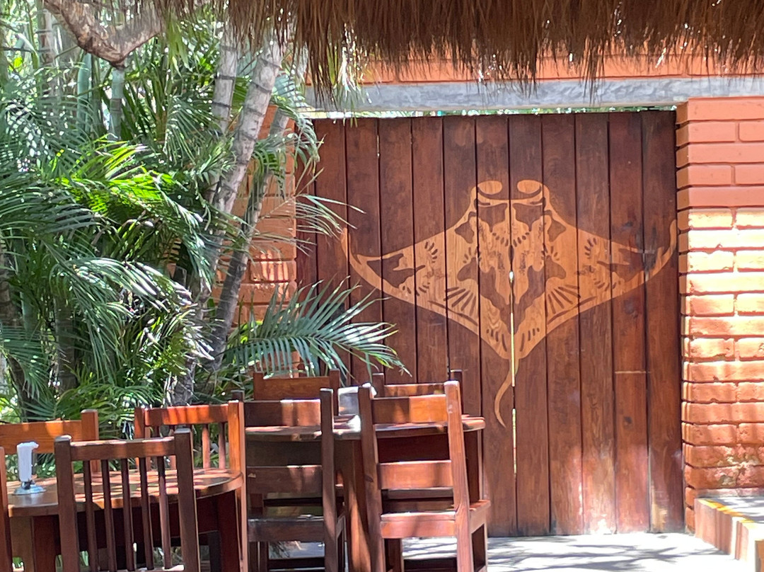Vallarta Adventures Dolphin Center-新瓦雅塔必去景点