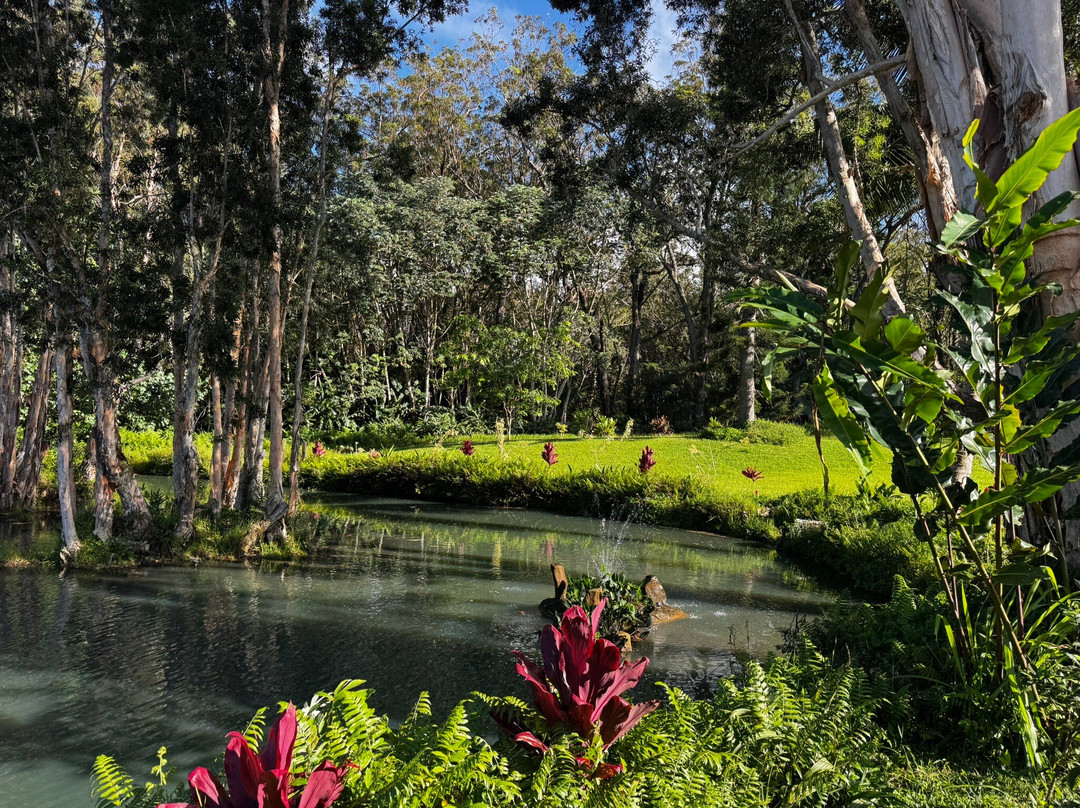 Common Ground Kauai-基拉韦厄必去景点
