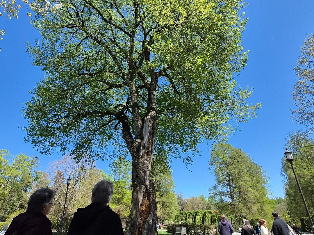 Longwood Gardens-肯尼特斯奎尔必去景点