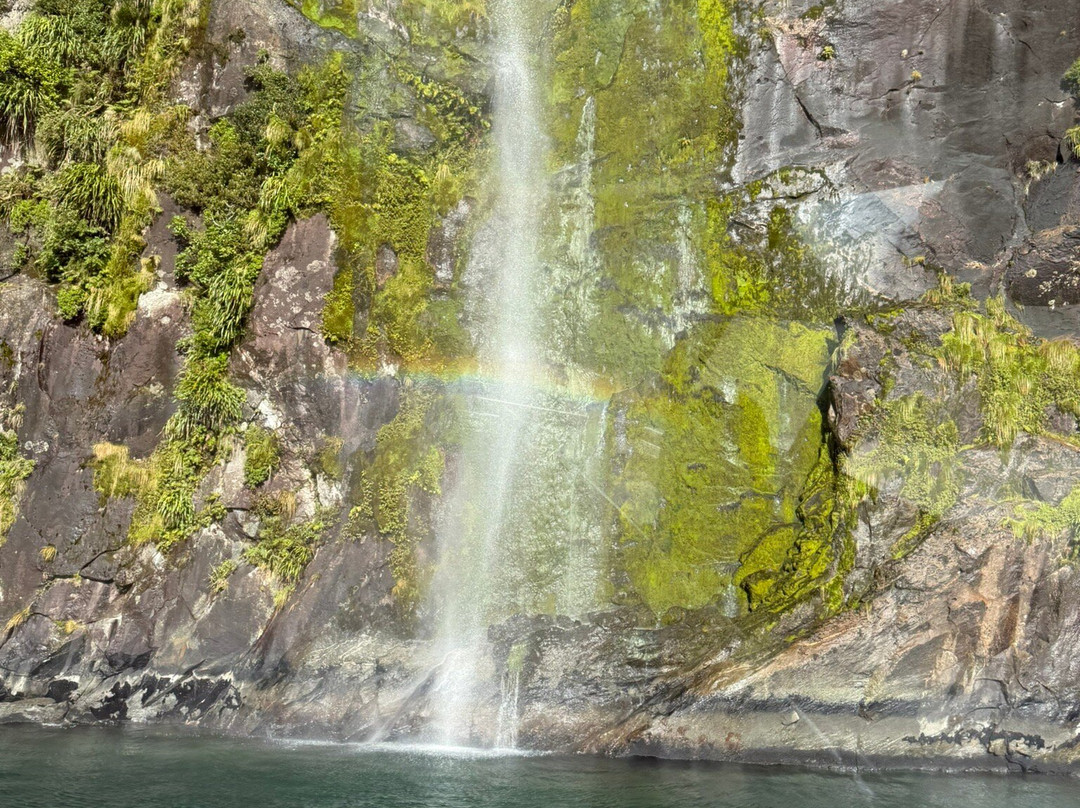 Milford Sound-Fiordland National Park必去景点