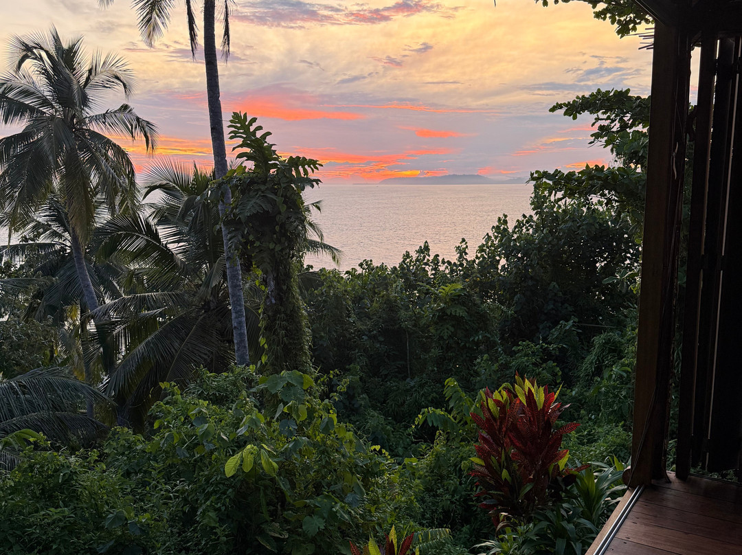Mentawai Surf Retreat®主图