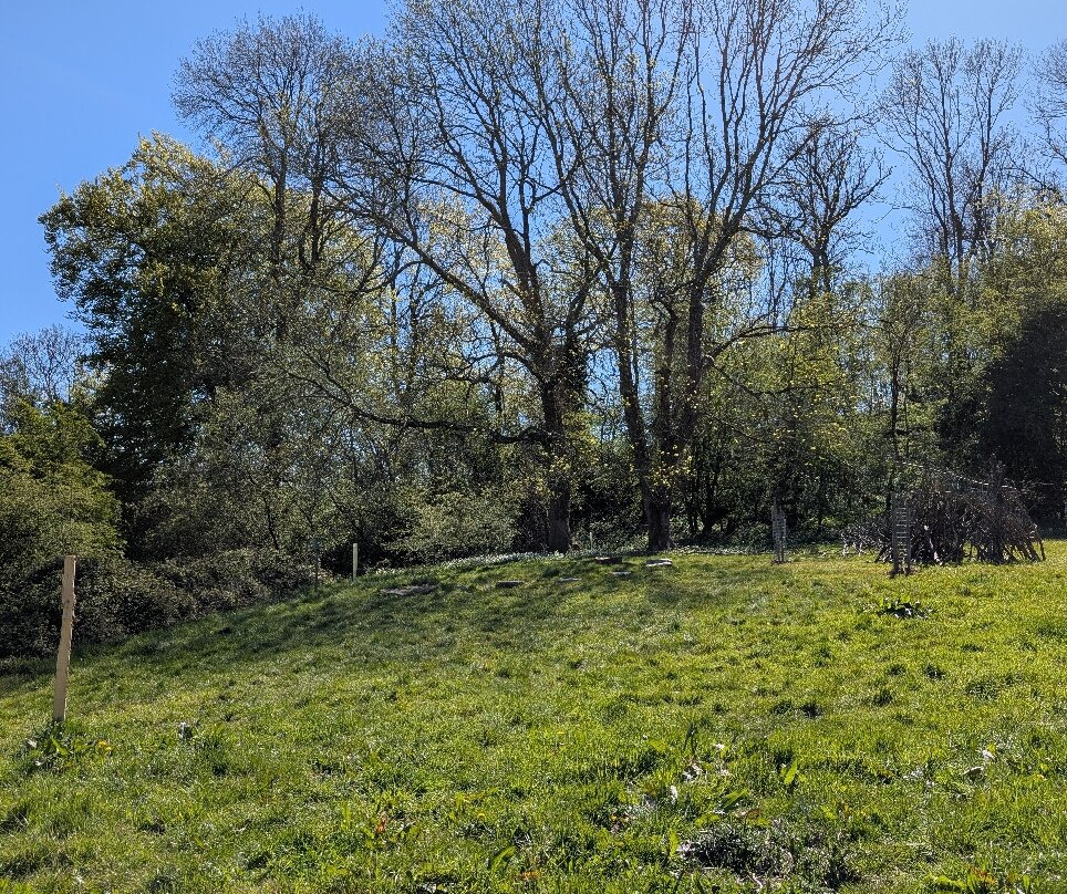 Woodchester Park-斯特劳德必去景点
