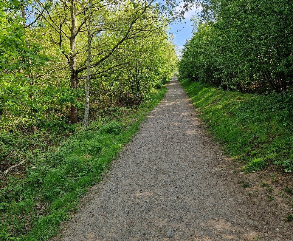 Sence Valley Country Park-Ibstock必去景点
