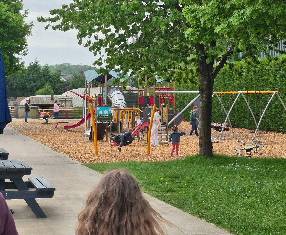 Cefn Mably Farm Park-卡迪夫必去景点