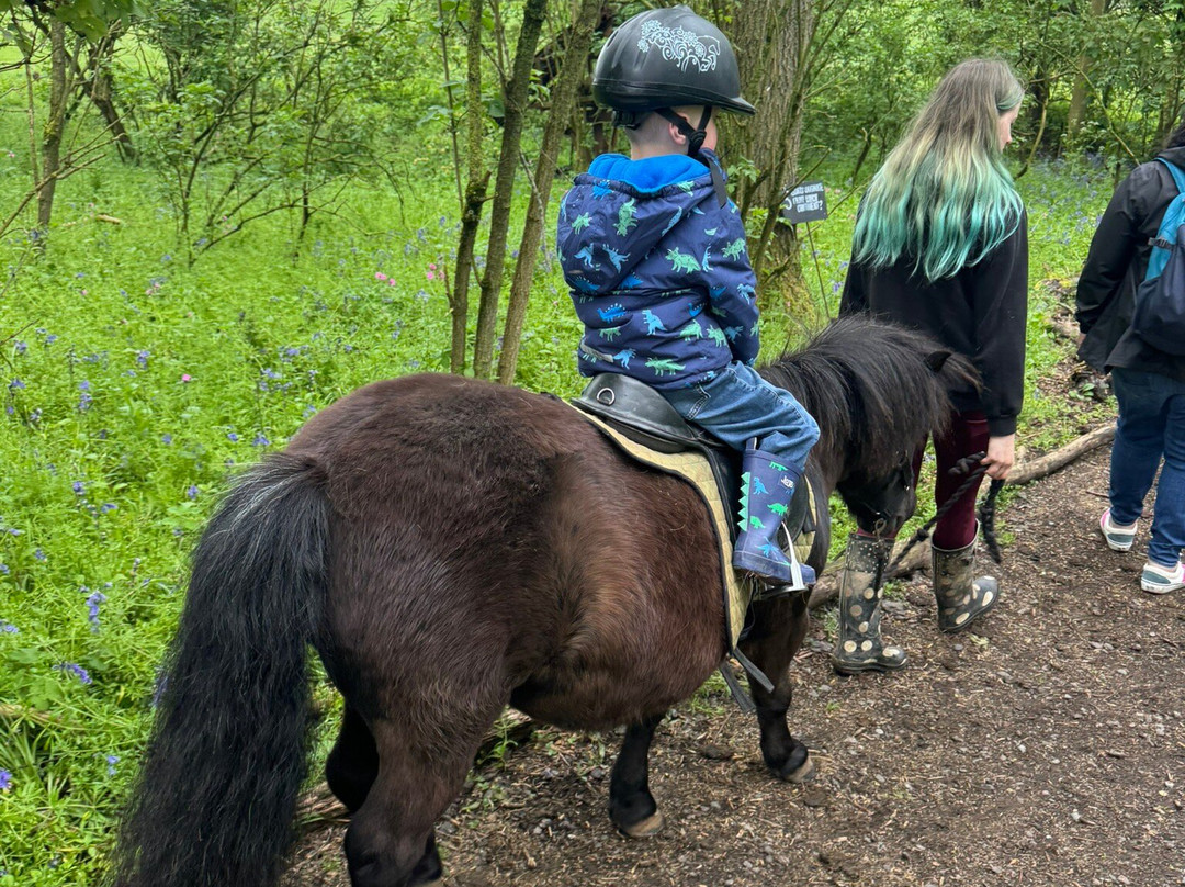 Charnwood Forest Alpacas-Boundary必去景点