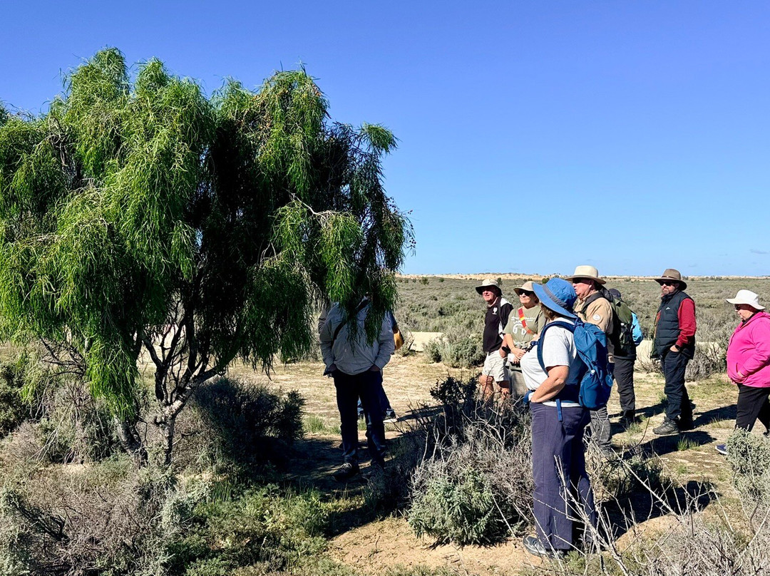 Discover Mildura - Day Tours-米尔杜拉必去景点
