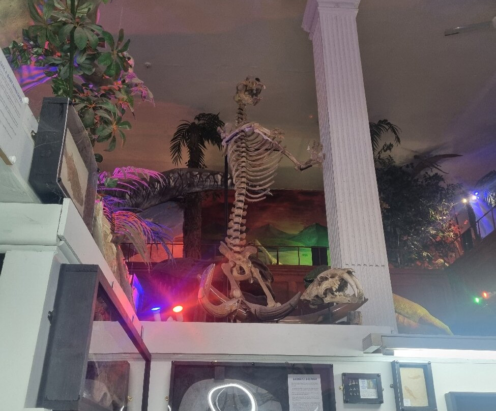 Dinosaurland Fossil Museum-莱姆里杰斯必去景点