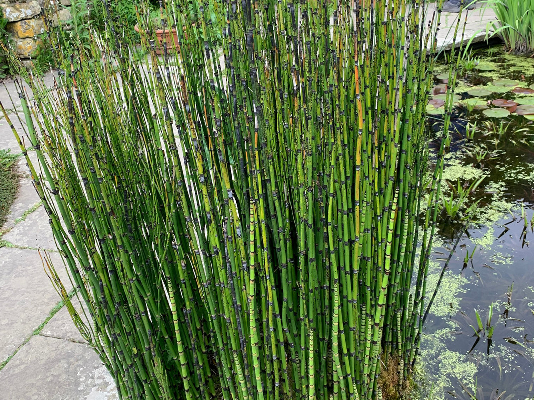 Great Dixter House & Gardens-Northiam必去景点