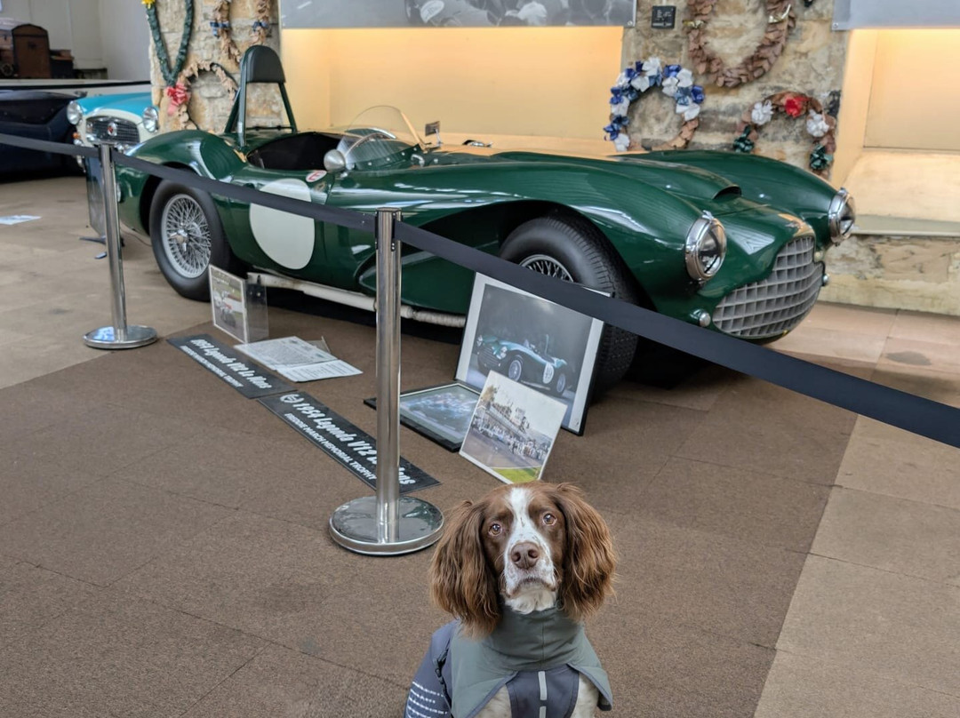 Moray Motor Museum-埃尔金必去景点