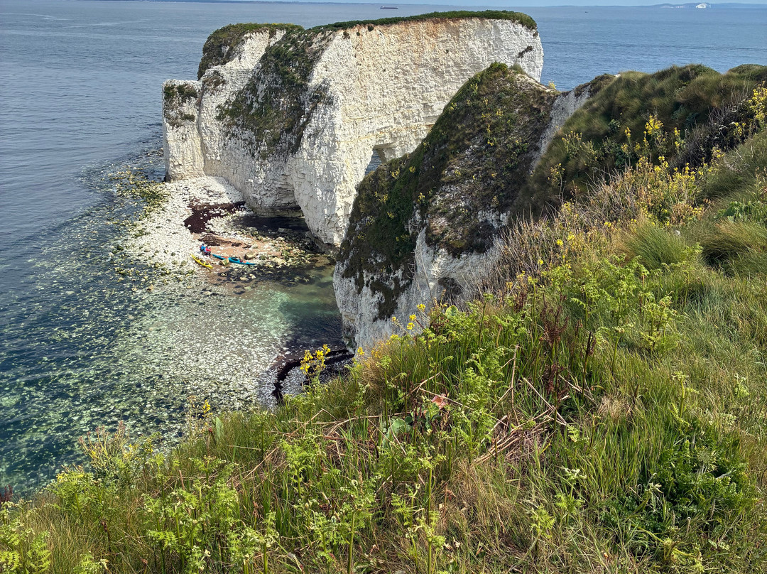 Old Harry Rocks-斯沃尼奇必去景点
