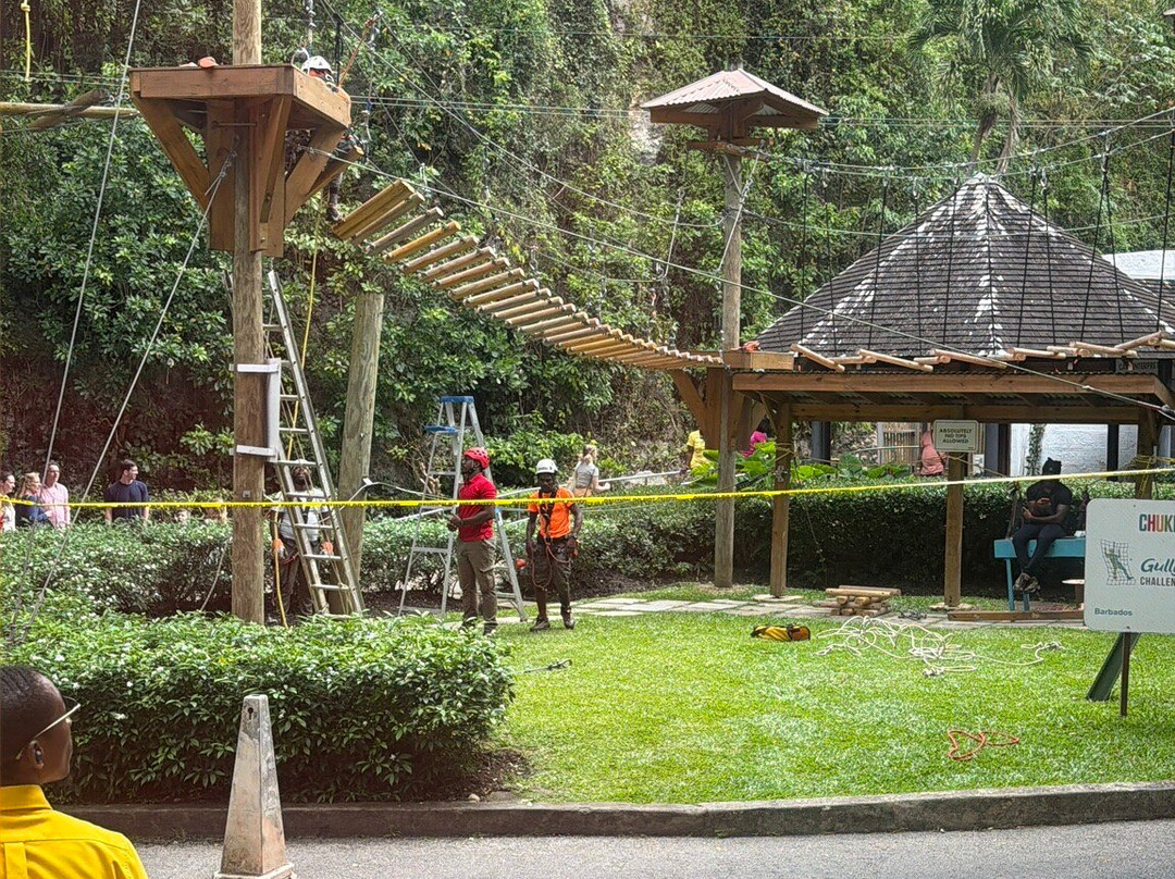 Harrison's Cave Eco-Adventure Park-Saint Thomas Parish必去景点