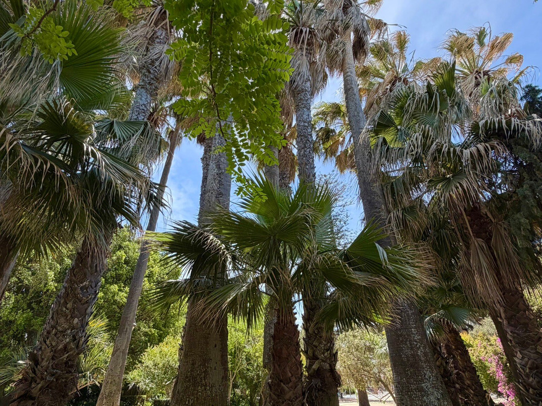 Parque Genovés-加的斯市必去景点