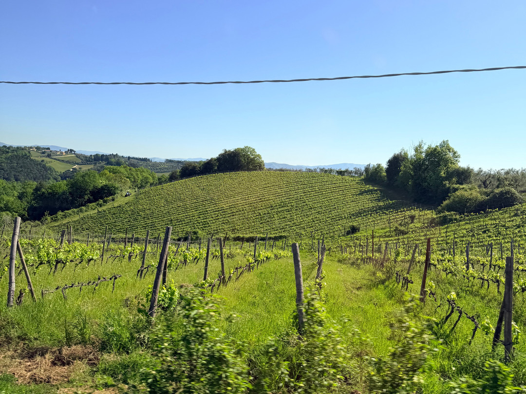 Scenic wine tours in Tuscany-Loro Ciuffenna必去景点