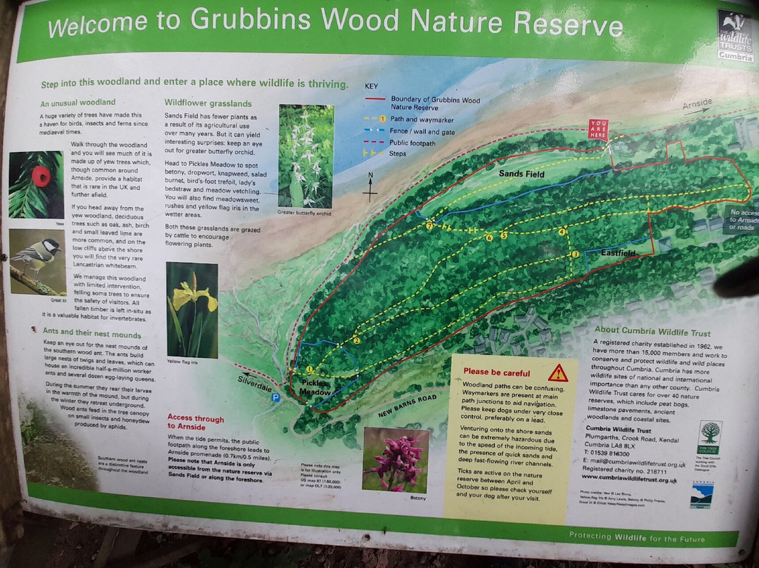 Grubbins Wood-Arnside必去景点