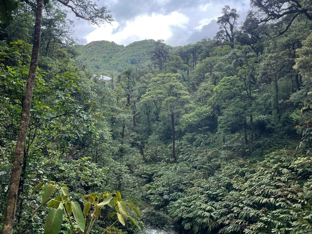 Sapa Trekking Mama Zuzu-沙巴必去景点