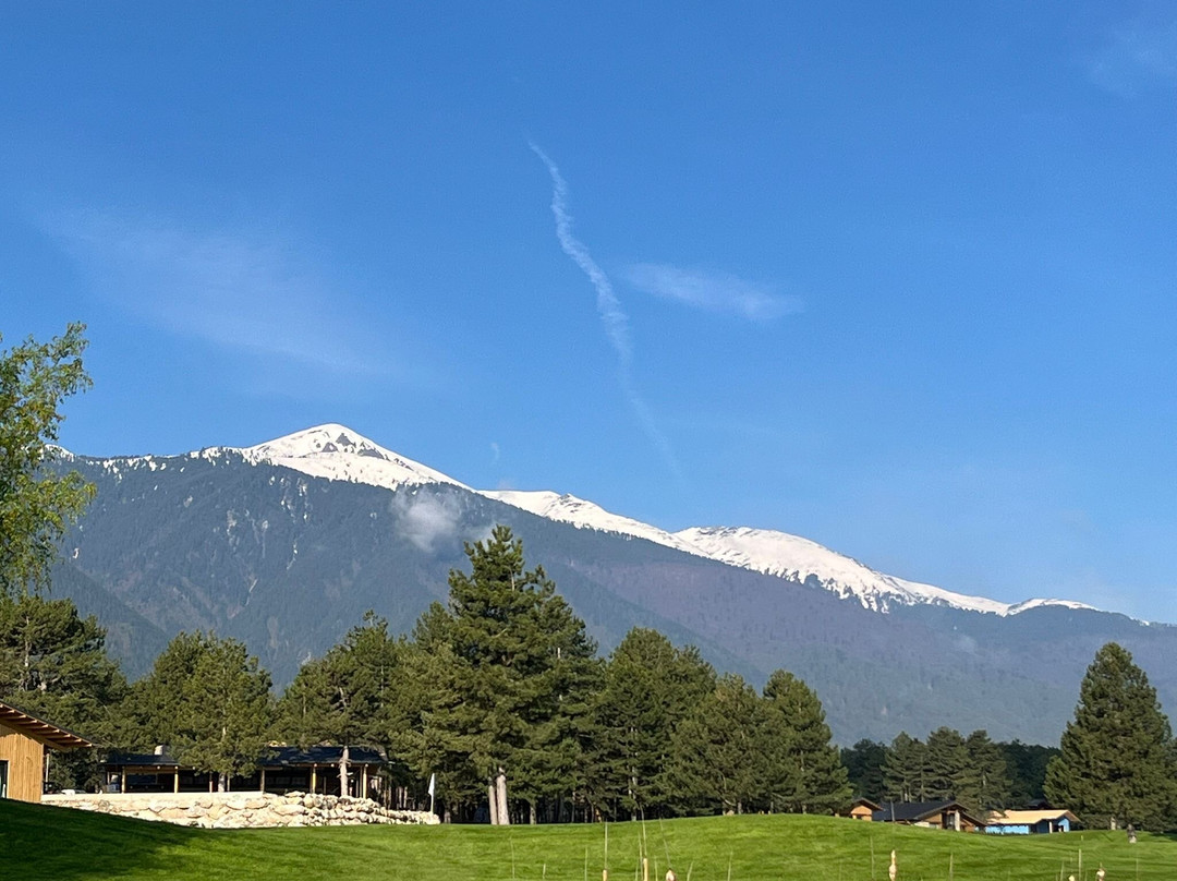 Pirin Golf Hotel & SPA主图