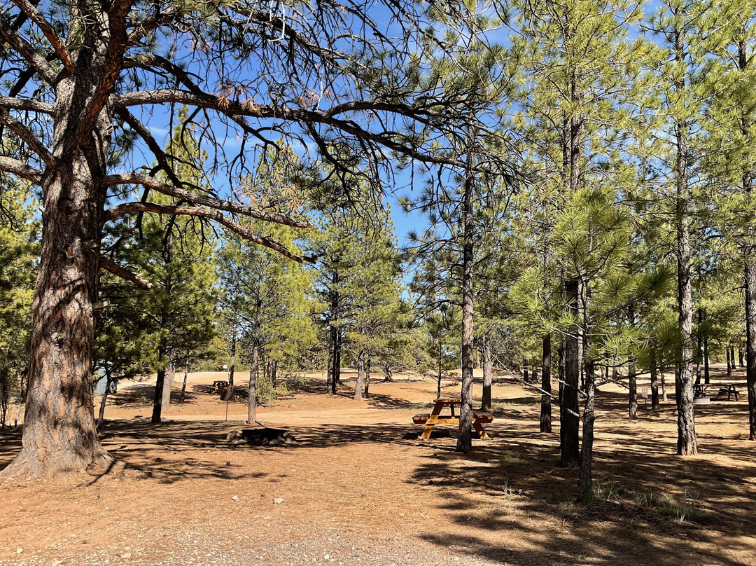 Bryce Canyon Pines Campground