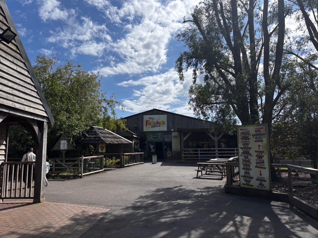 Knockhatch Adventure Park