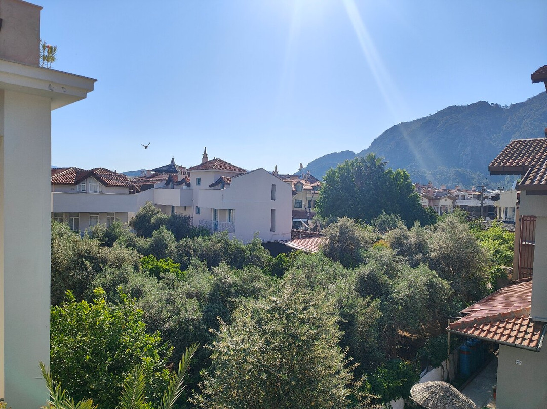 Sahin Palace主图