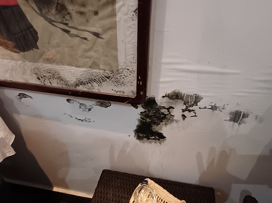 奥特弗布鲁卡普西斯埃利特度假村主图