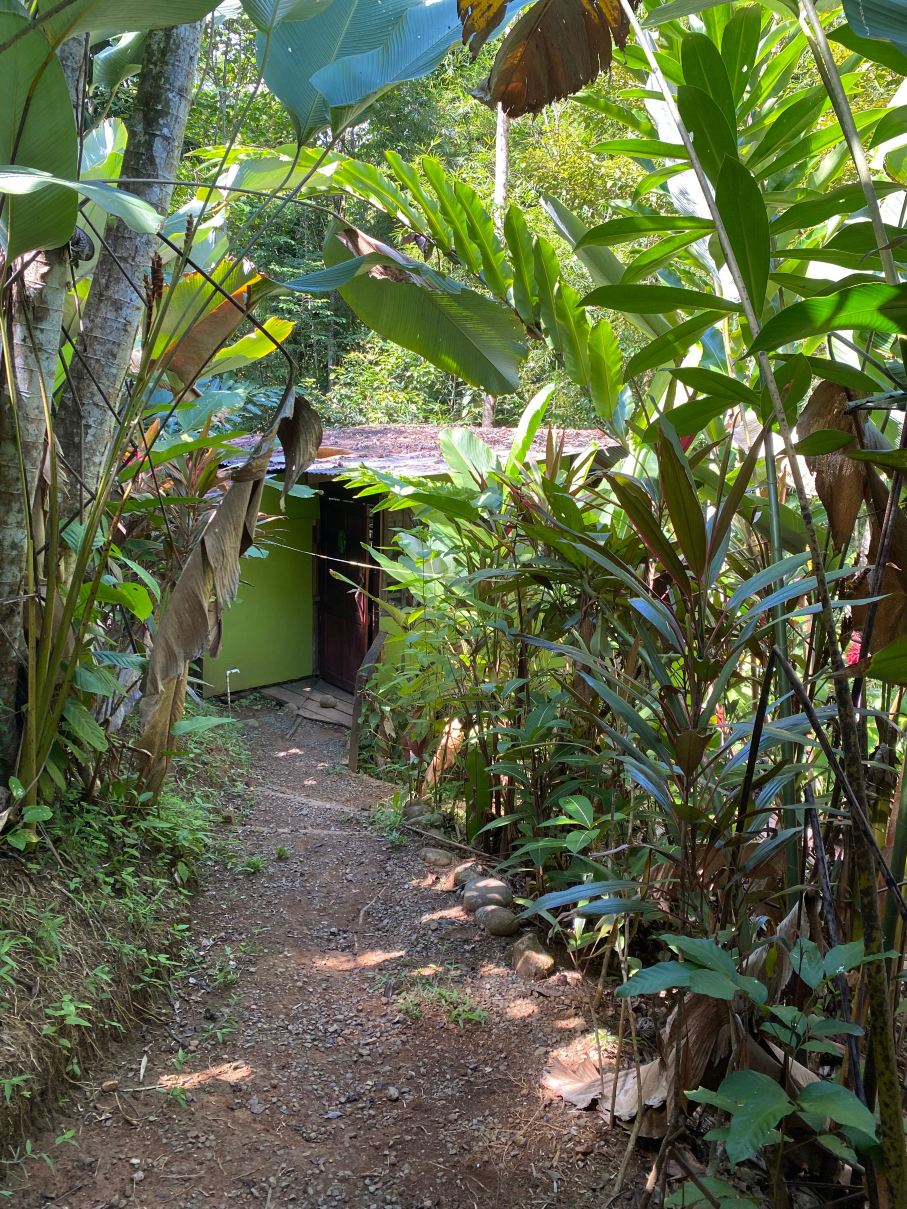 GreenPoint Drake Bay-旅行者