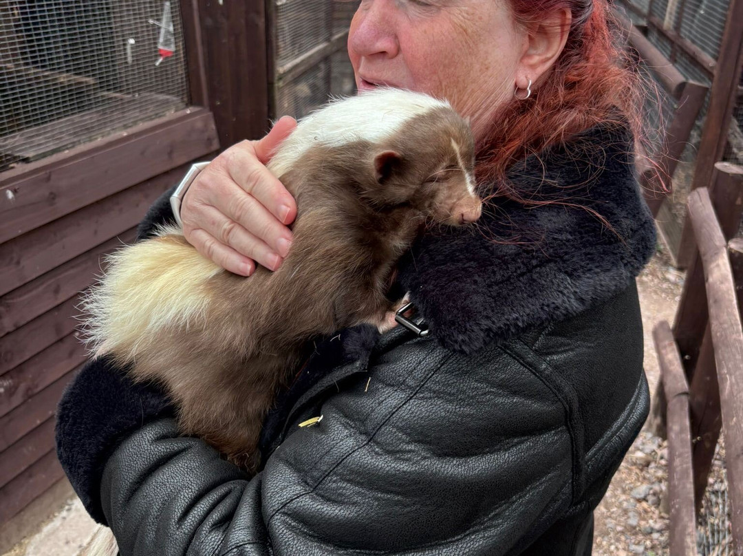 Promenade Park Petting Zoo-Maldon必去景点