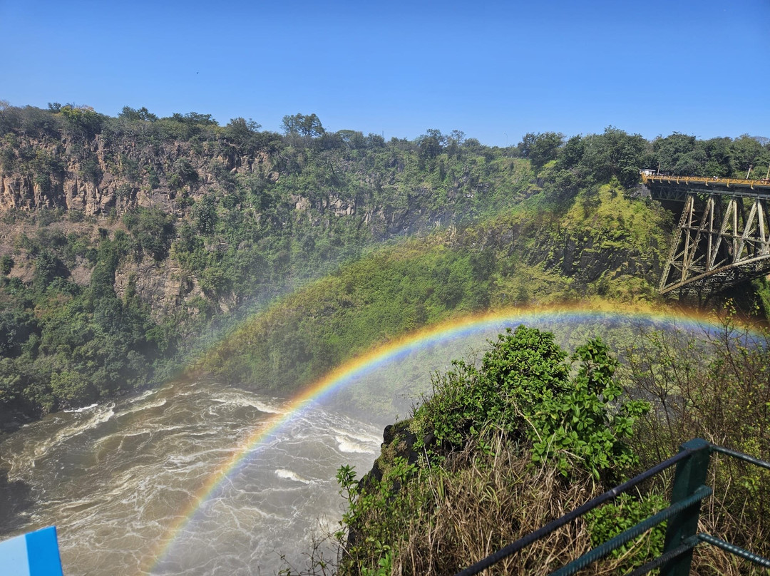 Njeri Africa Tours-Muizenberg必去景点
