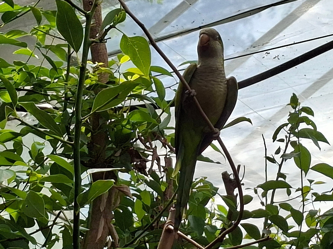 Butterfly House Sardegna-Olmedo必去景点