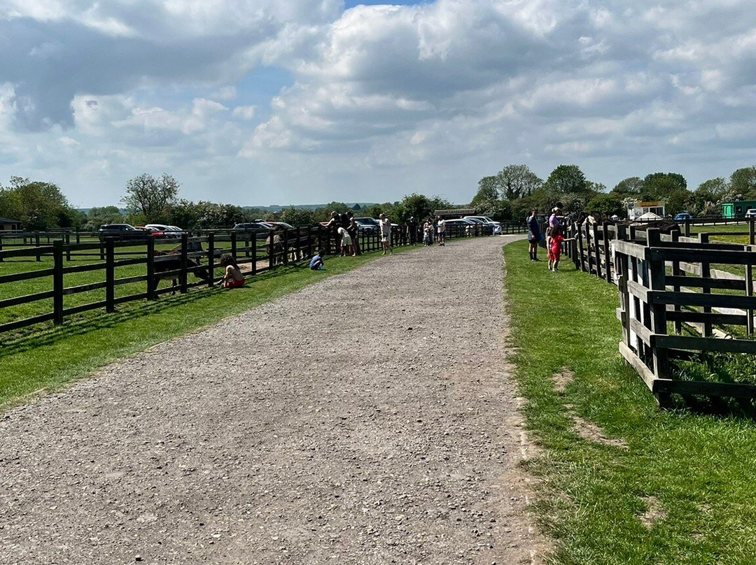 Radcliffe Donkey Sanctuary-Huttoft必去景点
