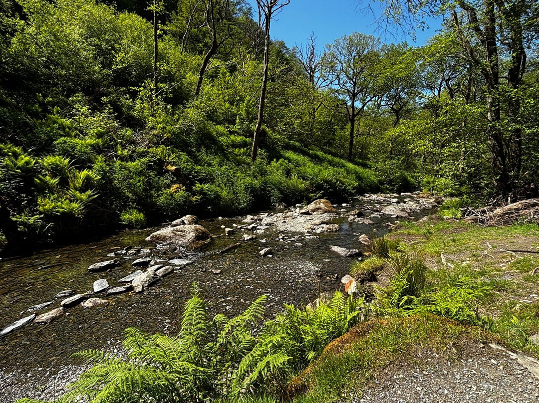 Dolgoch Falls-雪墩国家公园必去景点
