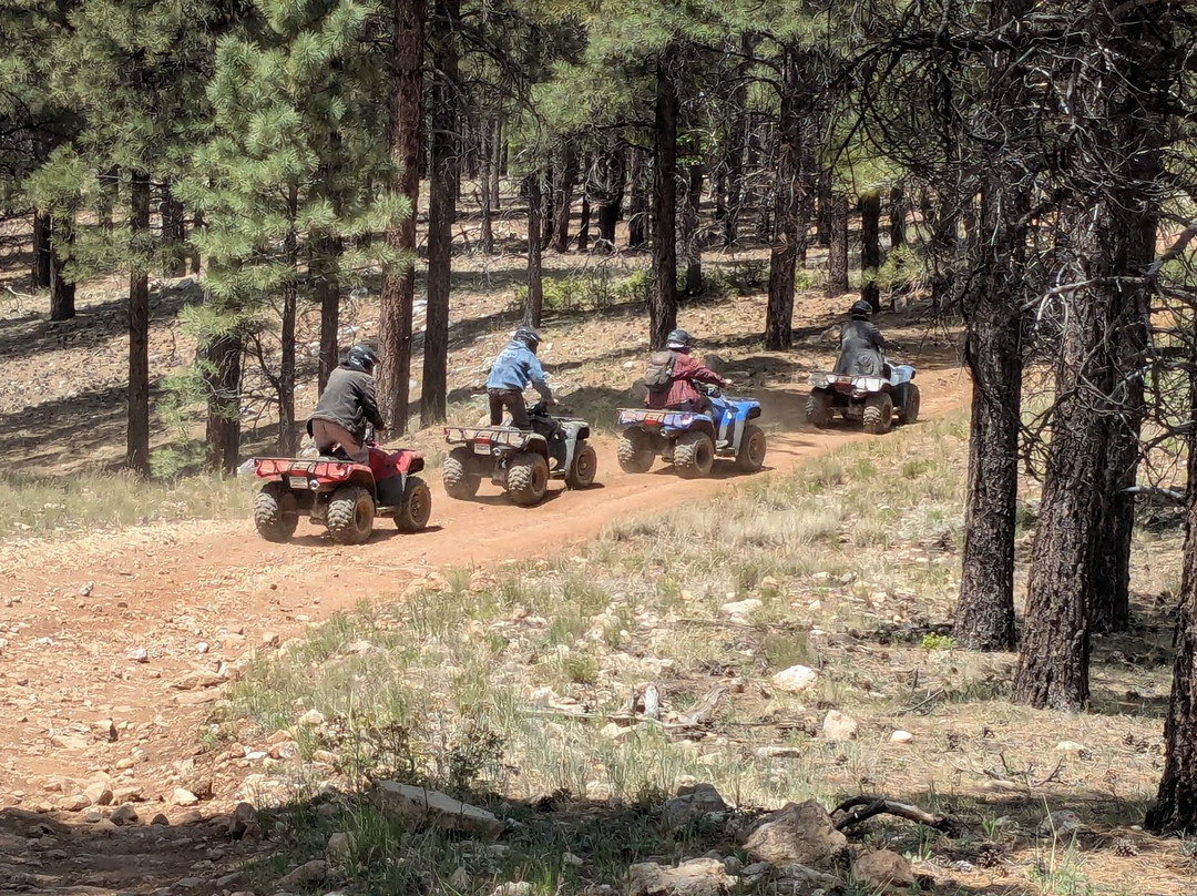 Canyon Off Road Adventures - Guided ATV Tours South Rim-图萨扬必去景点
