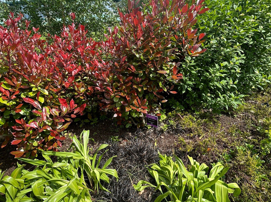 RHS Garden Harlow Carr-哈罗盖特必去景点