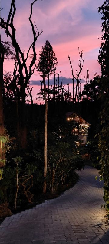 Natura Vista A Plantation Stay-旅行者