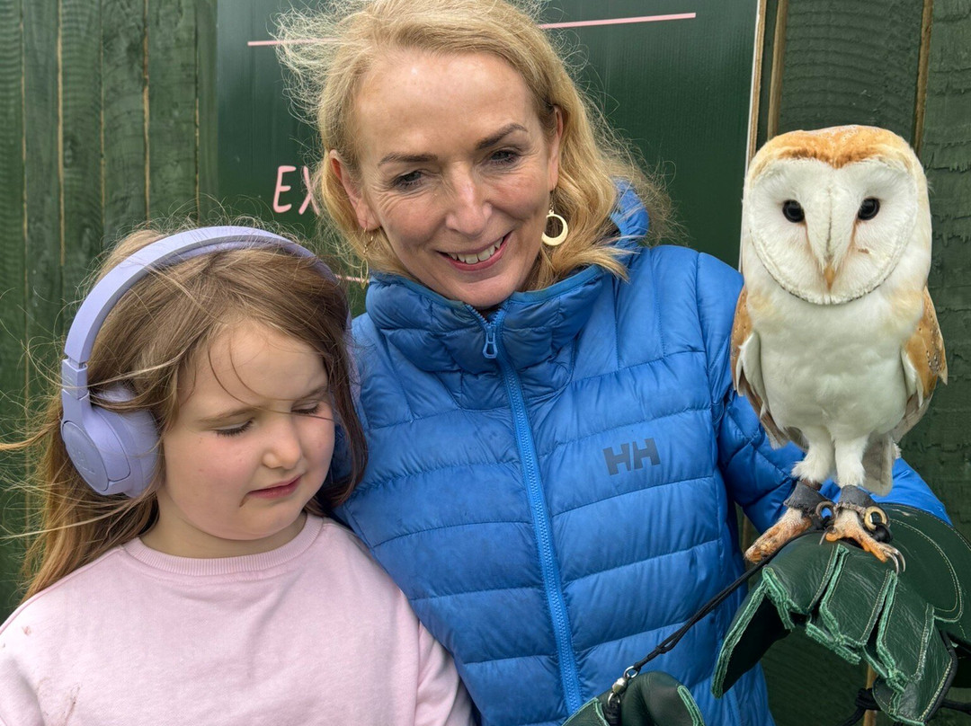 Fiáin Experiences - Wild Atlantic Wildlife Park-丁格尔必去景点