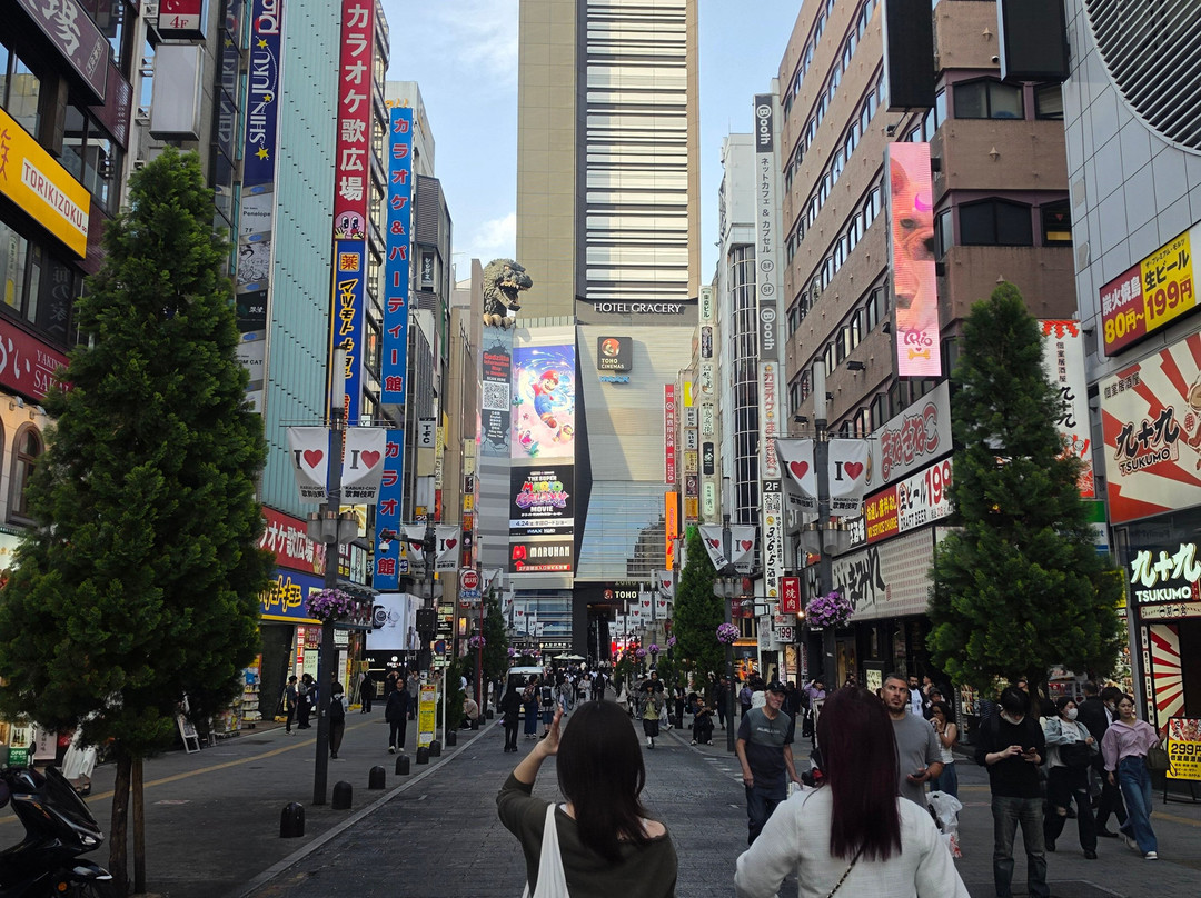 Godzilla Road-Kabukicho必去景点
