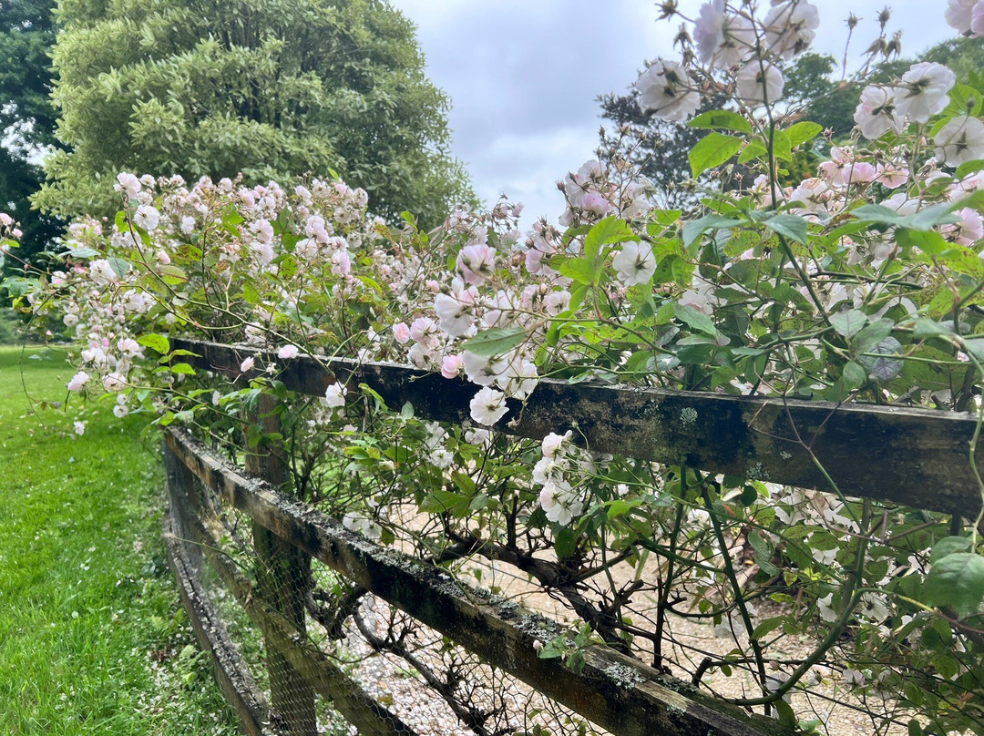 松月园-圣奥斯特尔必去景点