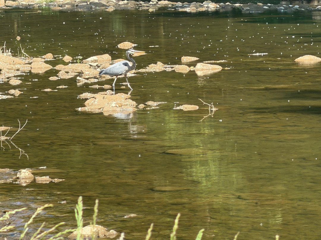 River Trail Crossing Campground