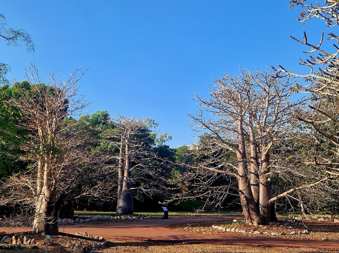 George Brown Darwin Botanic Gardens-达尔文市必去景点