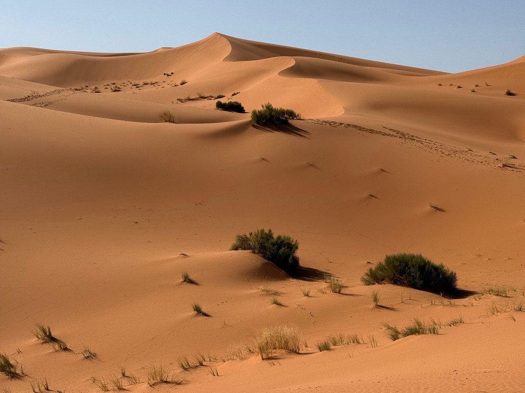 Eco Desert Morocco-卡萨布兰卡必去景点