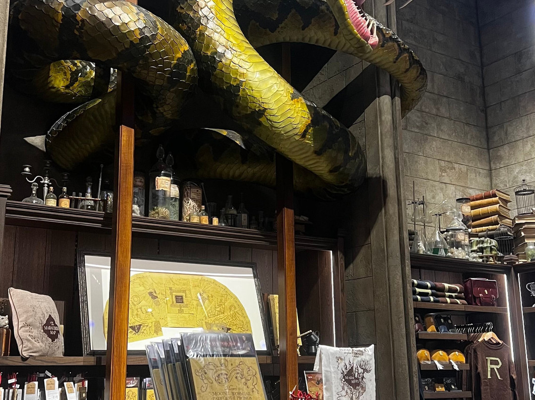 Warner Bros. Studio Tour Tokyo - The Making of Harry Potter-练马区必去景点