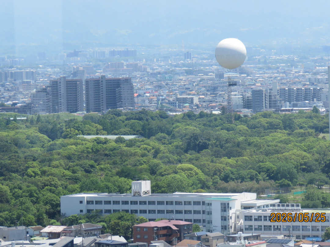 Sakai City Hall Observatory 21st Flour-坂井市必去景点