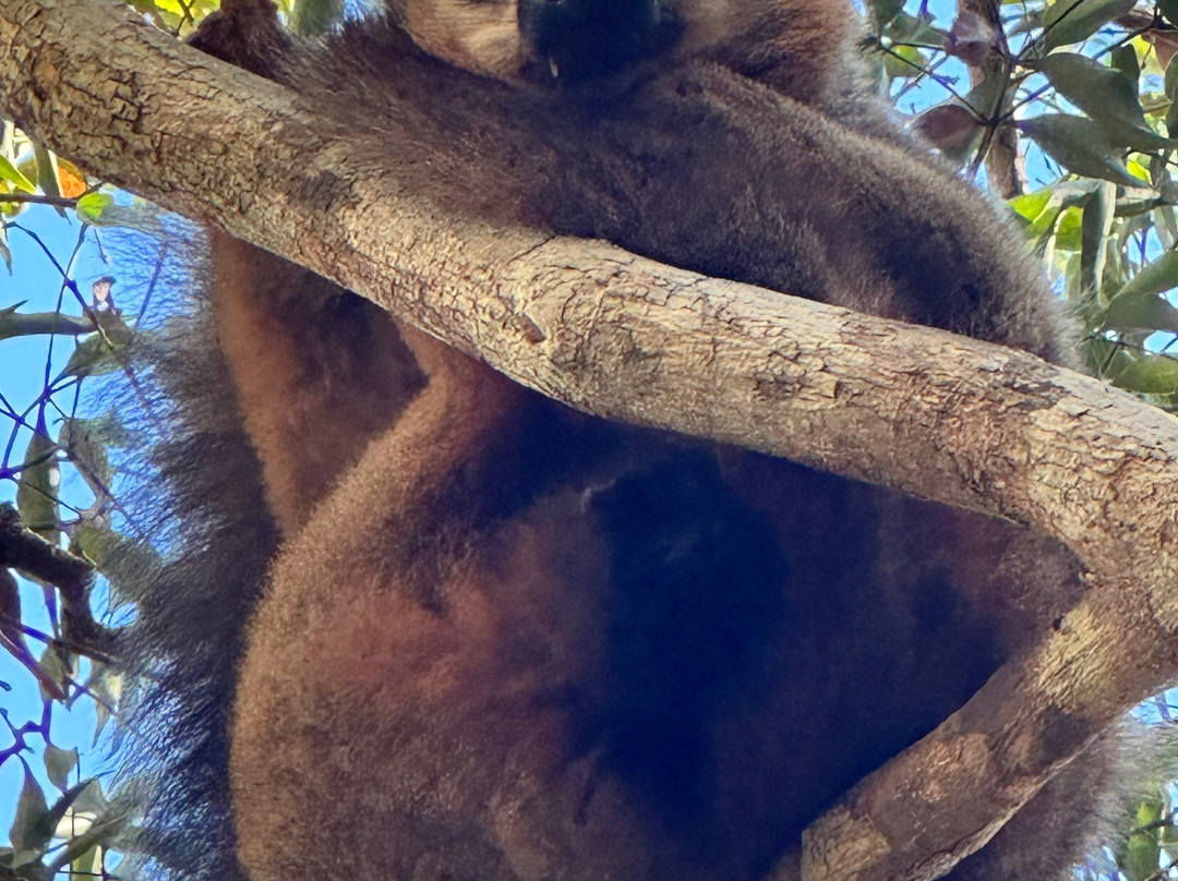 Madagascar Tropic Voyage-安齐拉贝必去景点