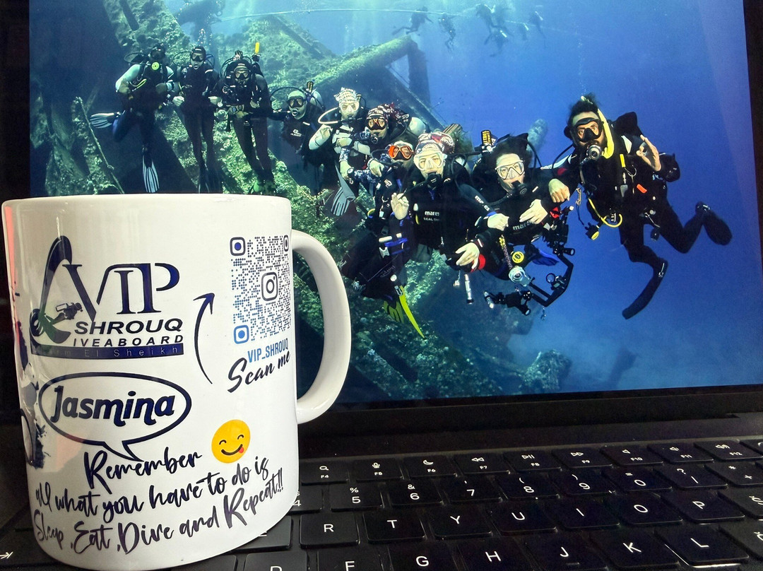 VIP Diving College-沙姆沙伊赫必去景点