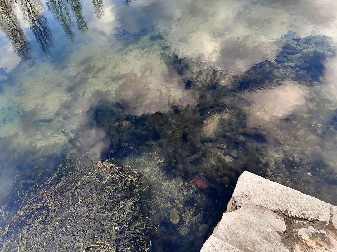 Old City Trebinje-特雷比涅必去景点