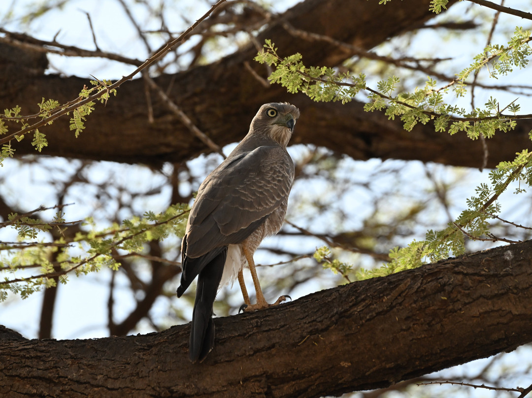 Evergreen Escape Expeditions - Africa-南由基必去景点