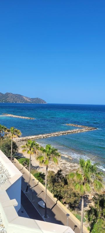 Protur Alicia Hotel-旅行者