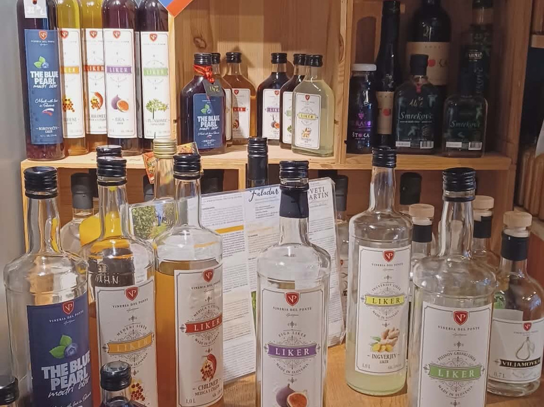 Vineria del Ponte-卢布尔雅那必去景点