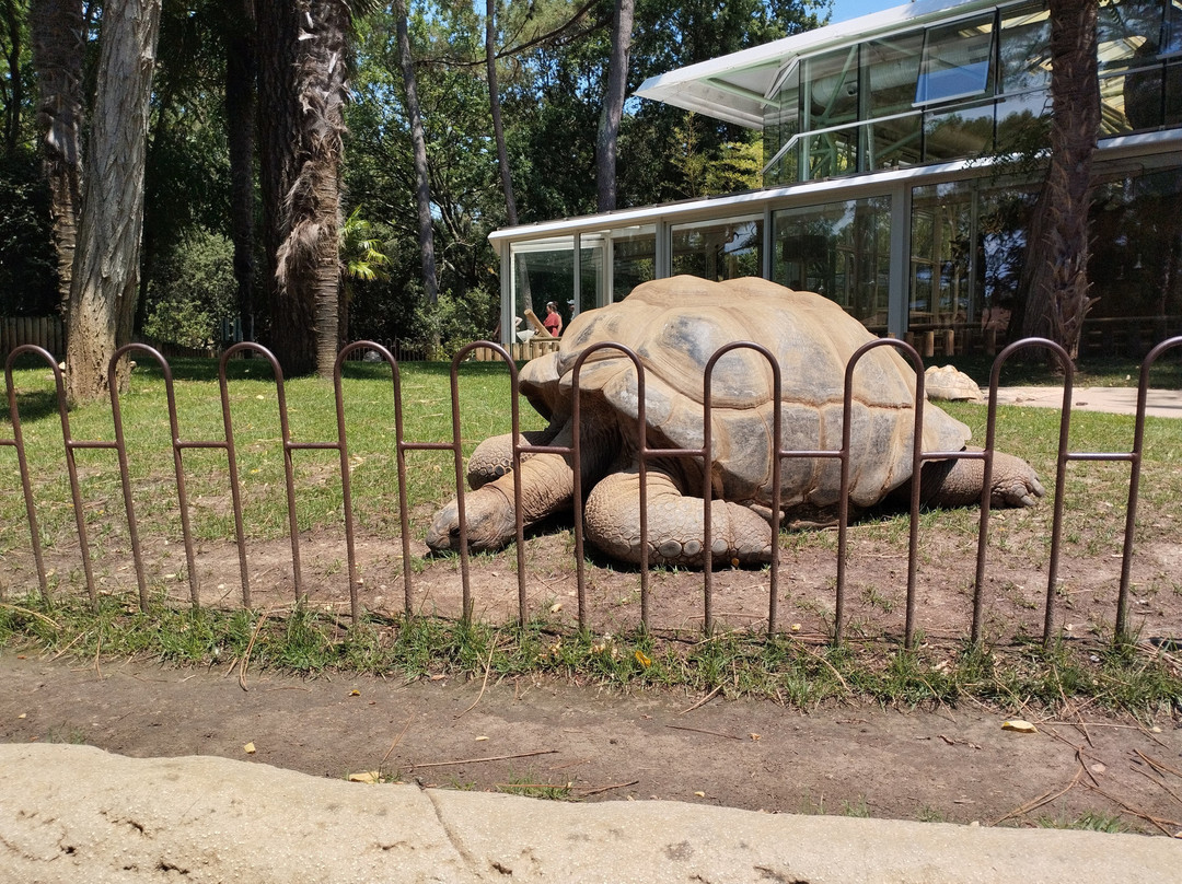 Zoo de La Palmyre-La Palmyre-Les Mathes必去景点