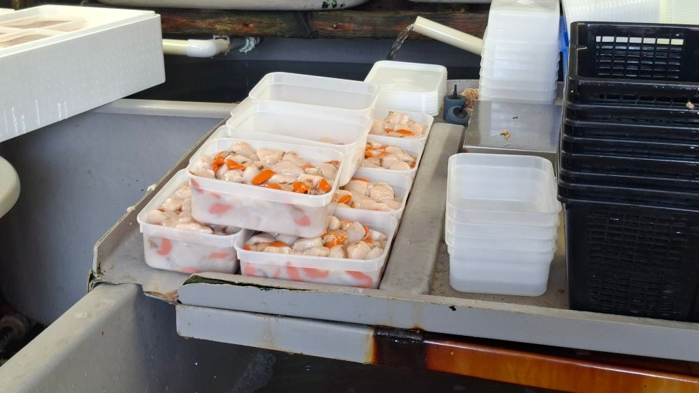 苏格兰波达维地湖菲恩公寓主图