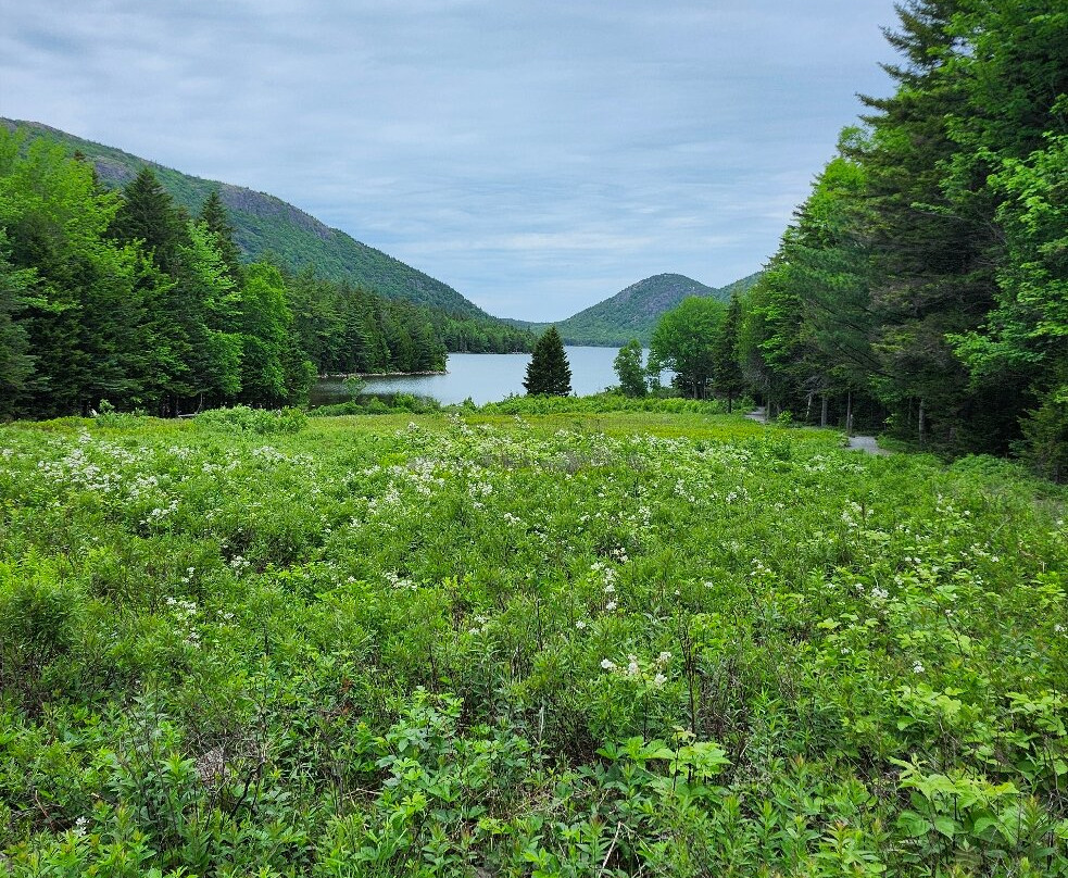 Acadia National Park-巴港必去景点